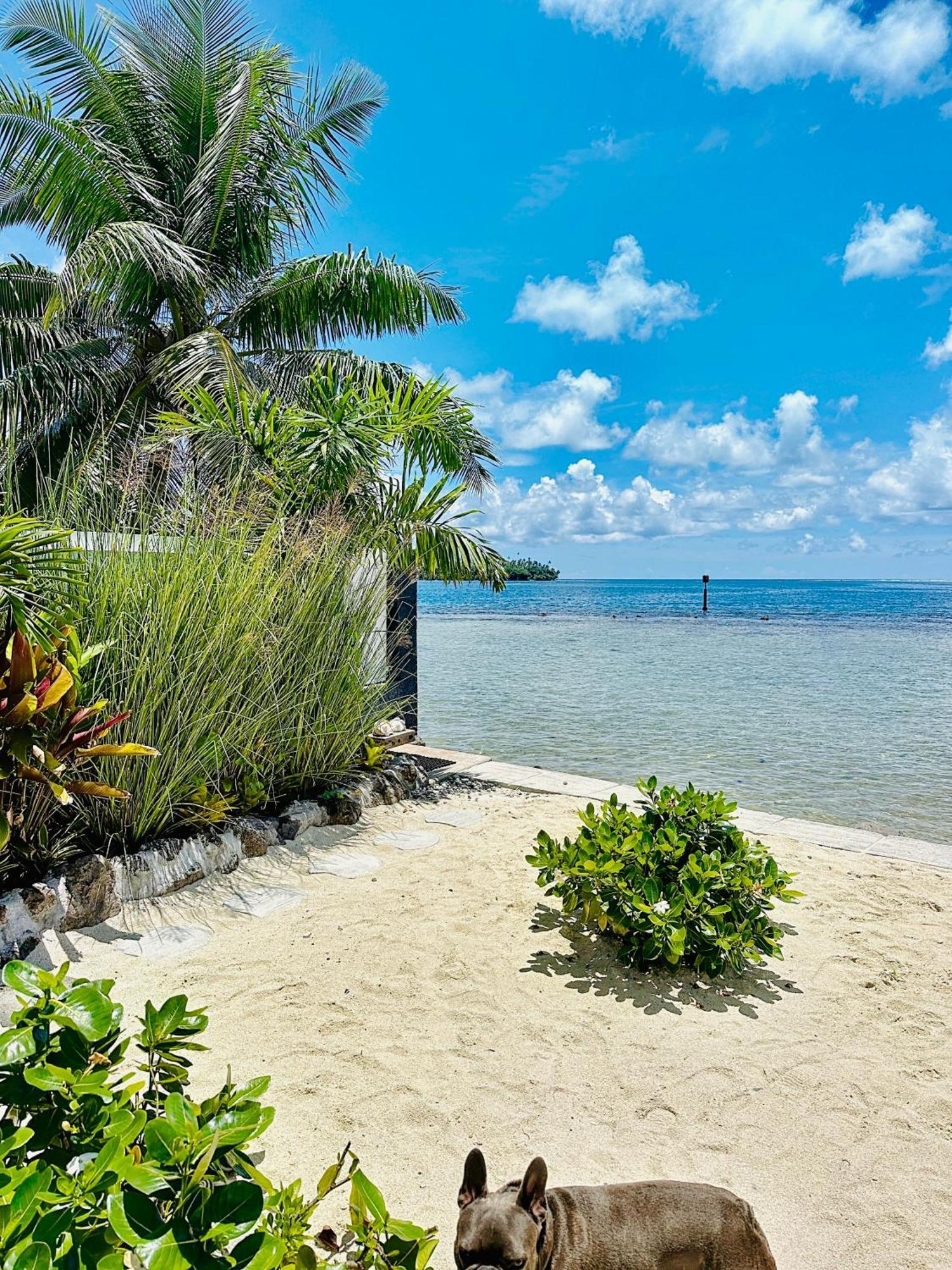 Pension Irivai Appartement Puatou 1 Chambre Bord De Mer Uturoa Exterior photo