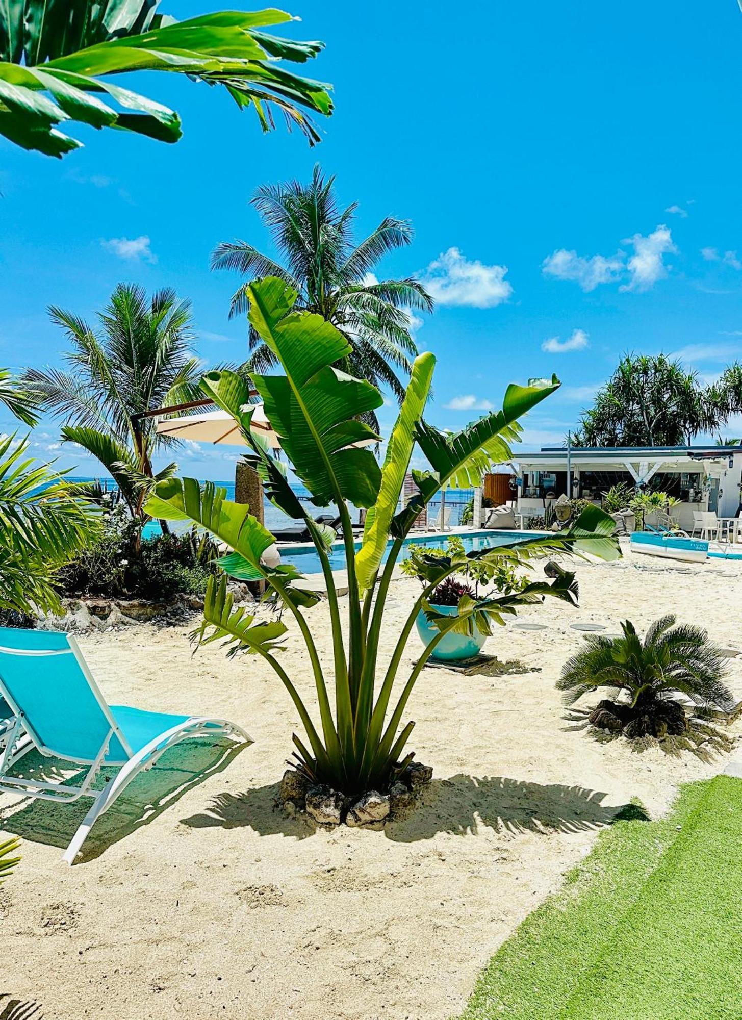 Pension Irivai Appartement Puatou 1 Chambre Bord De Mer Uturoa Exterior photo
